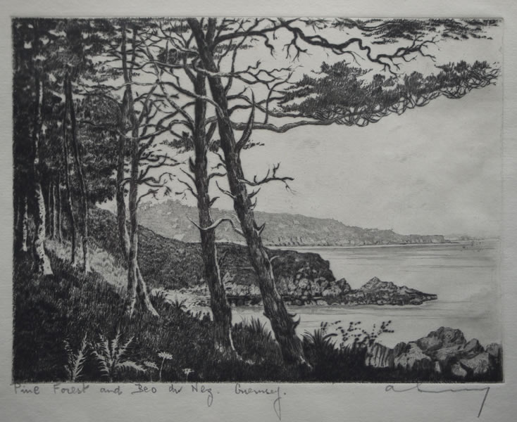 Pine Forest and Bec du Nez Guernsey - etching by A. Simes (EJ Maybery)