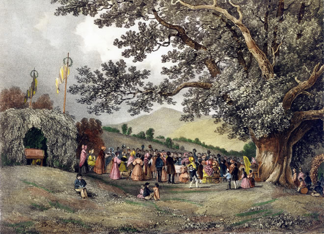 The Caeryder Oak or Ryder Field Oak tree 1838