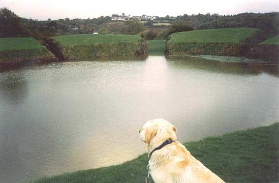 Caerleon Roman Amphitheatre flooded!