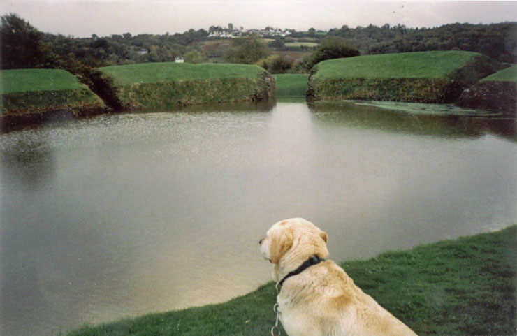 Caerleon Amphitheatre Flooded