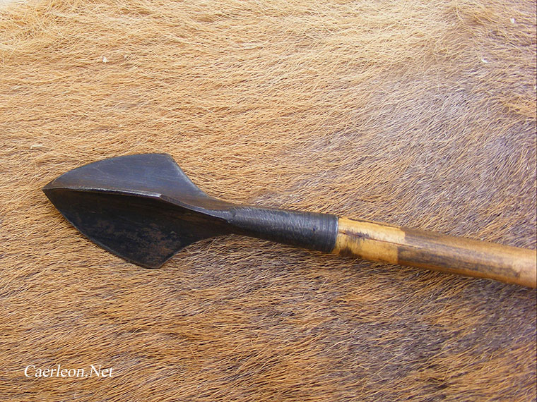 Roman Weapons Reenactment