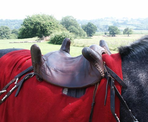 Roman saddle