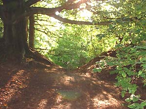Lodge Wood Camp Caerleon Wales