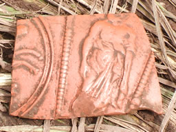 Samian ware pottery.