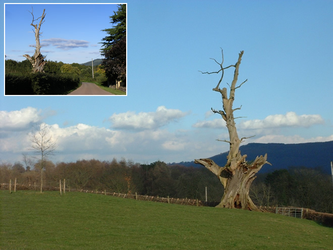The Ryder Field Oak Tree Lannhennock Caerleon overlooking the 2010 Ryder Cup Golf Course
